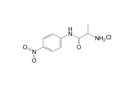 2-Amino-N-(4-nitrophenyl)propanamide hydrochloride