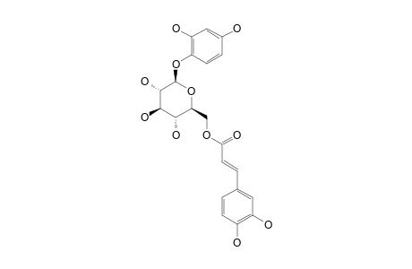 DUNALIANOSIDE-B;2,4-DIHYDROXYPHENYL-1-O-(6'-O-TRANS-CAFFEOYL)-BETA-D-GLUCOPYRANOSIDE