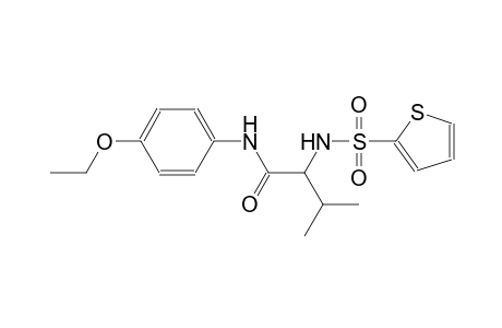 N-(4-ethoxyphenyl)-3-methyl-2-[(2-thienylsulfonyl)amino]butanamide