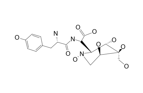 4-(HYDROXYMETHYL-1,3,4,5-TETRAHYDROXY-2-PIPERIDINYL)-2-(TYROSYLAMINO)-ACETIC-ACID