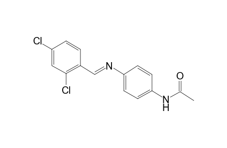 N-[4-[(2,4-dichloro-benzylidene)-amino]-phenyl]-acetamide