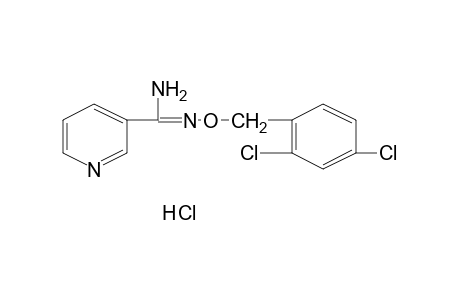 O-(2,4-DICHLOROBENZYL)NICOTINAMIDOXIME, MONOHYDROCHLORIDE