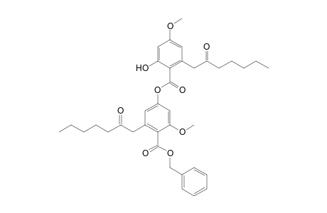 benzyl 4-[2'-hydroxy-4'-methoxy-6'-(2''-oxoheptyl)-benzoyloxy]-2-methoxy-6-(2-oxoheptyl)benzoate