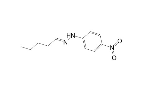 Pentanal, (4-nitrophenyl)hydrazone