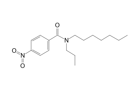 Benzamide, 4-nitro-N-propyl-N-heptyl-