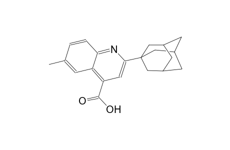 2-(1-adamantyl)-6-methyl-4-quinolinecarboxylic acid