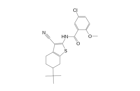 N-(6-tert-butyl-3-cyano-4,5,6,7-tetrahydro-1-benzothien-2-yl)-5-chloro-2-methoxybenzamide