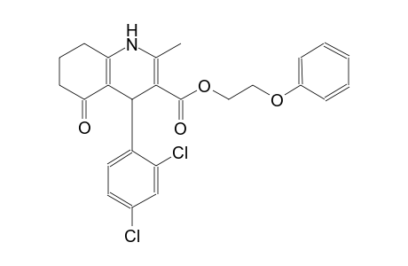 2-phenoxyethyl 4-(2,4-dichlorophenyl)-2-methyl-5-oxo-1,4,5,6,7,8-hexahydro-3-quinolinecarboxylate