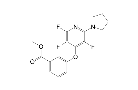 benzoic acid, 3-[[2,3,5-trifluoro-6-(1-pyrrolidinyl)-4-pyridinyl]oxy]-, methyl ester