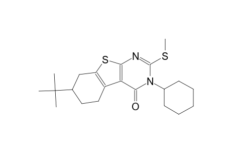 7-tert-butyl-3-cyclohexyl-2-(methylsulfanyl)-5,6,7,8-tetrahydro[1]benzothieno[2,3-d]pyrimidin-4(3H)-one