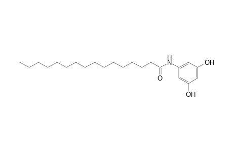 Hexadecanamide, N-(3,5-dihydroxyphenyl)-