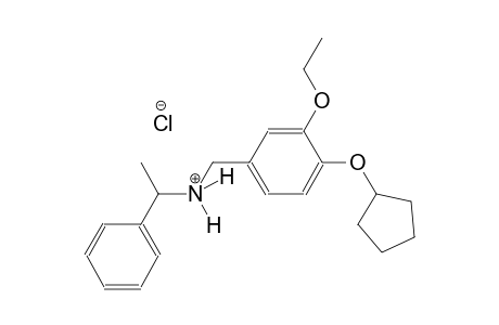 N-[4-(cyclopentyloxy)-3-ethoxybenzyl]-1-phenylethanaminium chloride