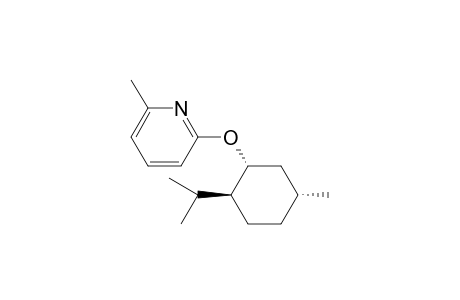 2-(1R,2S,5R)-Menthoxy-6-methylpyridine
