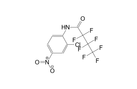 N-(2-chloro-4-nitrophenyl)-2,2,3,3,4,4,4-heptafluorobutanamide