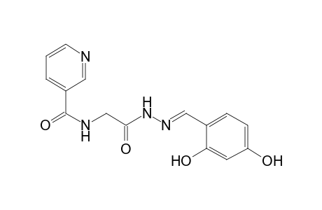 Nicotinamide, N-(2,4-dihydroxybenzylidenehydrazinocarbonylmethyl)-