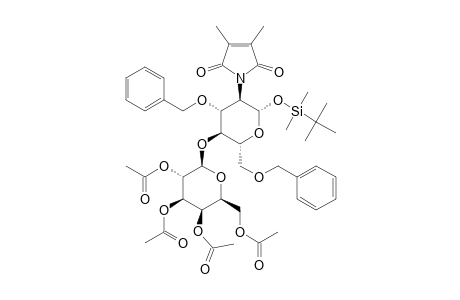 TERT.-BUTYLDIMETHYLSILYL_(2,3,4,6-TETRA-O-ACETYL-BETA-D-GALACTOPYRANOSYL)-(1->4)-3,6-DI-O-BENZYL-2-DEOXY-2-DIMETHYLMALEIMIDO-BETA-D-GLUCOPYRANOSIDE