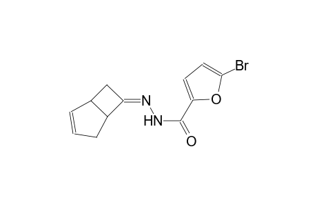 N'-[(6Z)-bicyclo[3.2.0]hept-2-en-6-ylidene]-5-bromo-2-furohydrazide