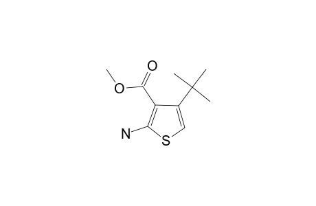 METHYL-2-AMINO-4-TERT.-BUTYLTHIOPHENE-3-CARBOXYLATE