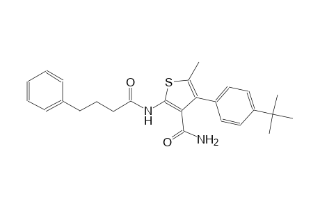 4-(4-tert-butylphenyl)-5-methyl-2-[(4-phenylbutanoyl)amino]-3-thiophenecarboxamide