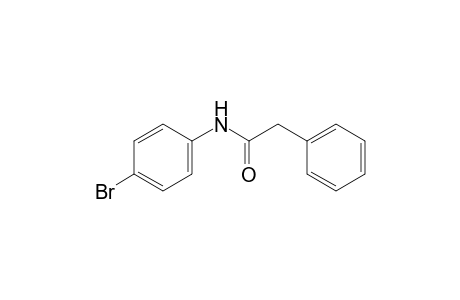 4'-bromo-2-phenylacetanilide