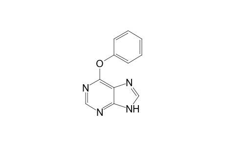 6-Phenoxy-9H-purine