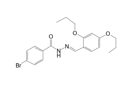 4-Bromanyl-N-[(E)-(2,4-dipropoxyphenyl)methylideneamino]benzamide