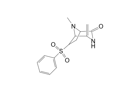 8-Methyl-4-methylene-2-oxo-6-exo-6-phenylsulfonyl-3,8-diazabicyclo[3.2.1]octane