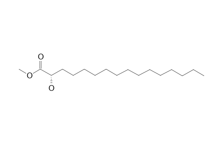 (2S)-2-HYDROXYHEXADECANOIC-ACID