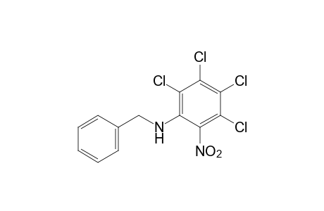 N-(2-nitro-3,4,5,6-tetrachlorophenyl)benzylamine