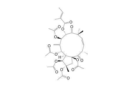 (2R*,3R*,4S*,5R*,7S*,8R*,13R*,15R*)-2,3,5,7,15-PENTAACETOXY-8-TIGLOYLOXY-9,14-DIOXOJATROPHA-6(17),11-DIENE