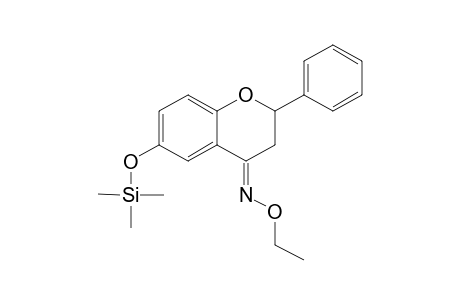 Flavanone <6-hydroxy-> ethoxime, mono-TMS, isomer 1