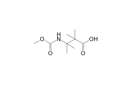 N-carboxy-2,2,3,3-tetramethyl-beta-alanine, N-methyl ester