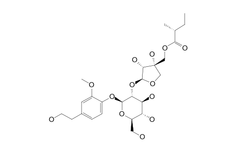 CUCURBITOSIDE_J;4-(2-HYDROXYETHYL)-2-METHOXYPHENYL_5-O-(2-S-2-METHYLBUTYRYL)-BETA-D-APIOFURANOSYL-(1->2)-BETA-D-GLUCOPYRANOSIDE