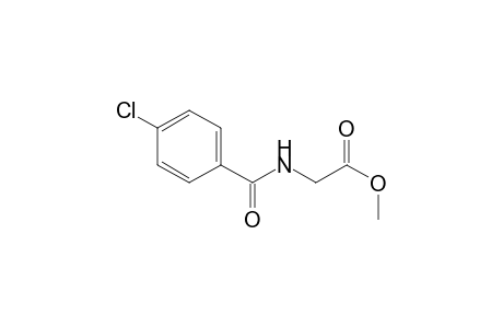 2-[(4-chlorobenzoyl)amino]acetic acid methyl ester