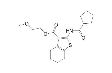 2-methoxyethyl 2-[(cyclopentylcarbonyl)amino]-4,5,6,7-tetrahydro-1-benzothiophene-3-carboxylate