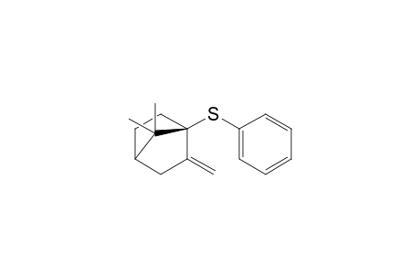 (1S)-7,7-Dimethyl-2-methylene-1-(phenylsulfanyl)bicyclo[2.2.1]heptane