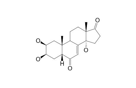 RUBROSTERONE