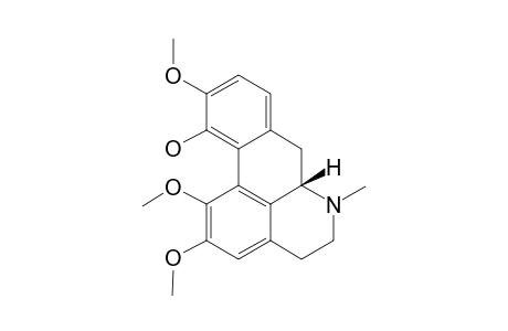 ICD;ISOCORYDINE