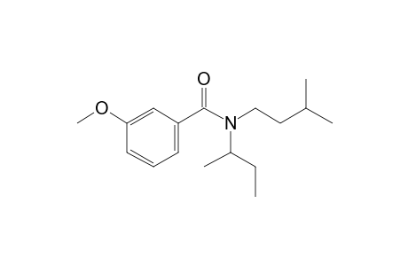 Benzamide, 3-methoxy-N-(2-butyl)-N-(3-methylbutyl)-