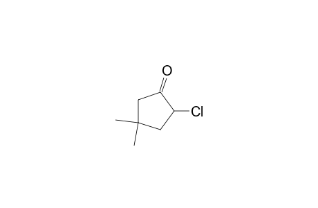 2-Chloro-4,4-dimethylcyclopentanone