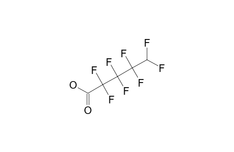 PERFLUORO-5H-PENTANOIC-ACID