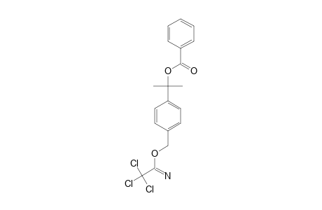 benzoic acid [1-methyl-1-[4-[(2,2,2-trichloroacetimidoyl)oxymethyl]phenyl]ethyl] ester