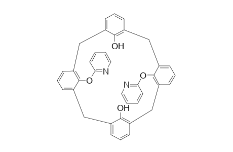 26,28-Dihydroxy-25,27-bis(2'-pyridoxy)-calix[4]arene