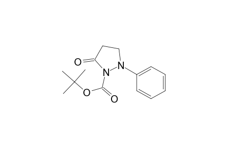 1-Pyrazolidinecarboxylic acid, 5-oxo-2-phenyl-, 1,1-dimethylethyl ester