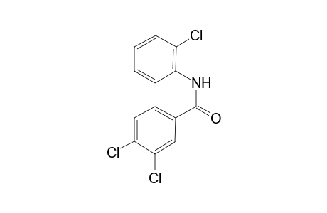 3,4-Dichloro-N-(2-chloro-phenyl)-benzamide