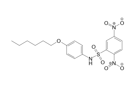 Benzenesulfonamide, N-[4-(hexyloxy)phenyl]-2,5-dinitro-