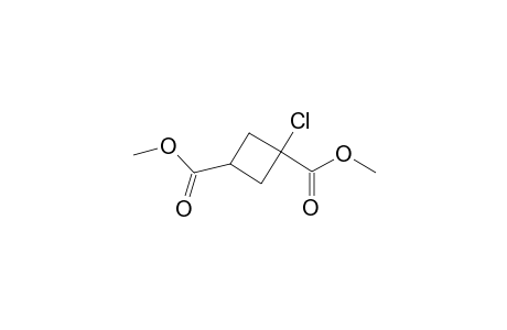1,3-Cyclobutanedicarboxylic acid, 1-chloro-, dimethyl ester