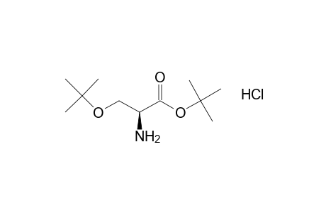 O-tert-Butyl-L-serine tert-butyl ester hydrochloride