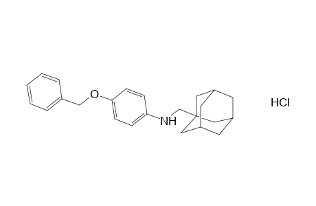 N-[(Adamant-1-yl)methyl]-4-(benzyloxy)aniline Hydrochloride