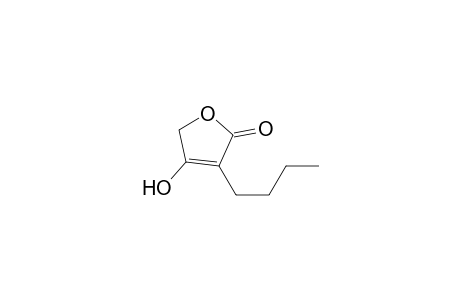 3-Butyl-4-hydroxy-2(5H)-furanone